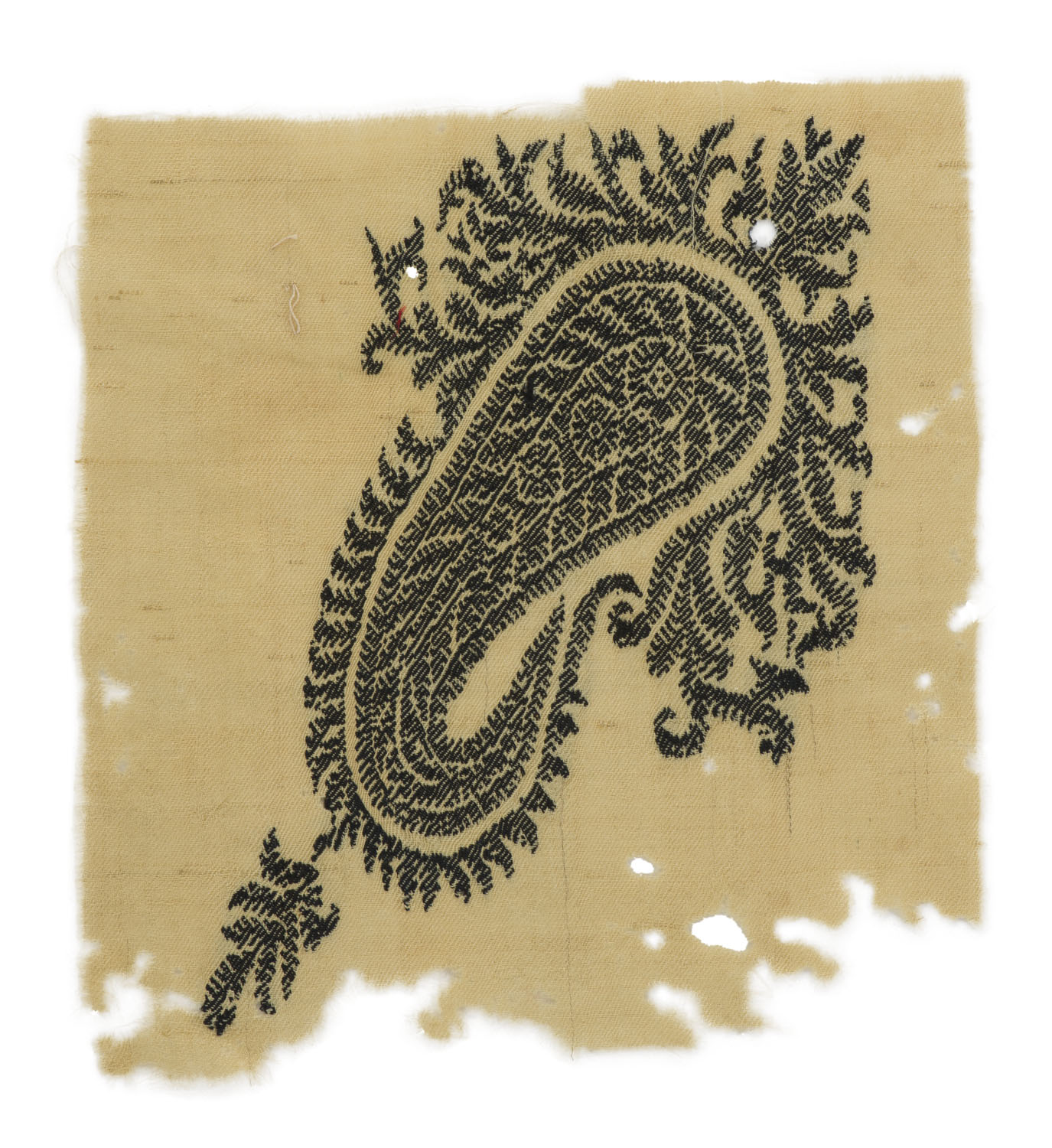 Kashmir Shawl Fragment
