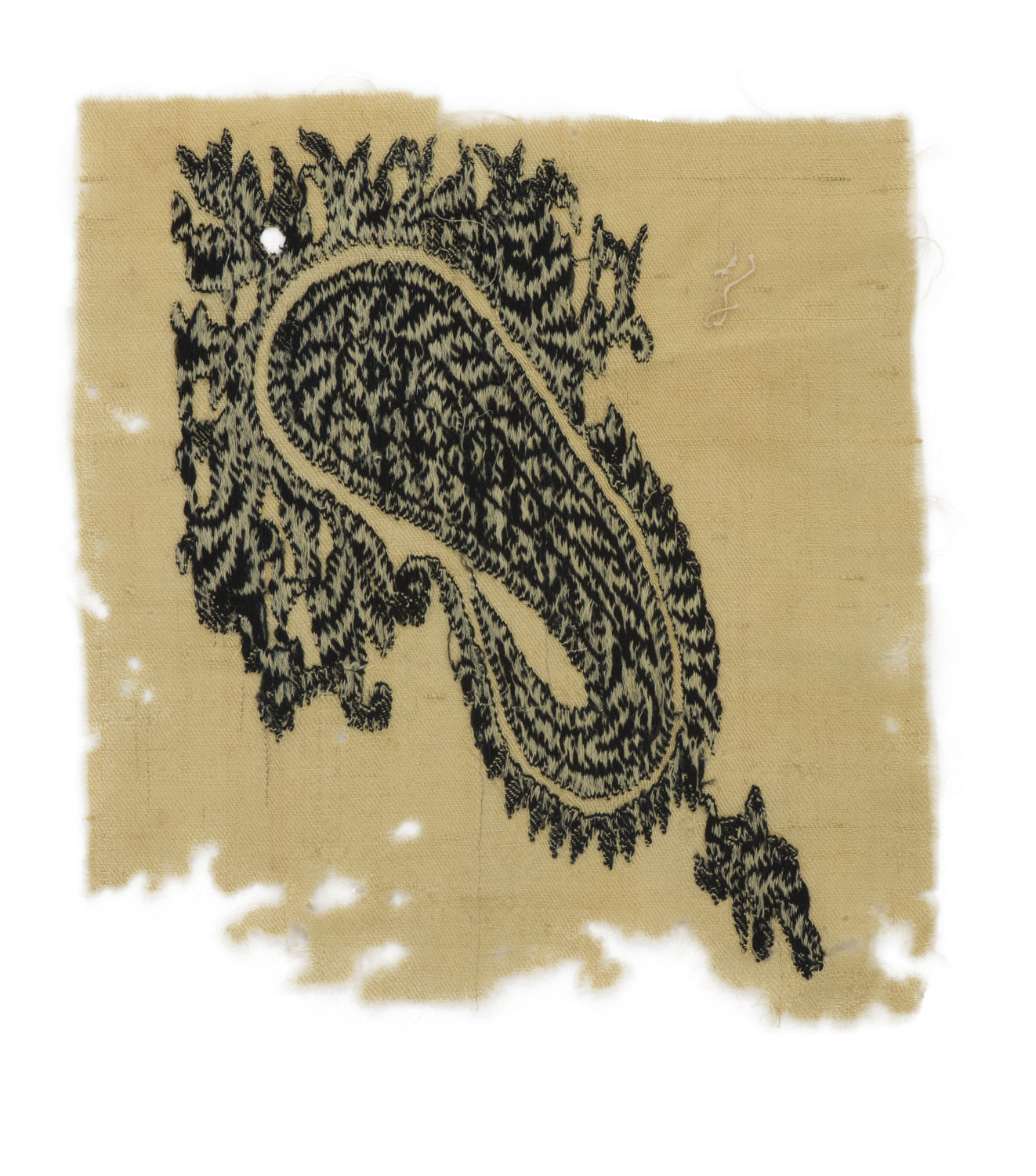 Kashmir Shawl Fragment