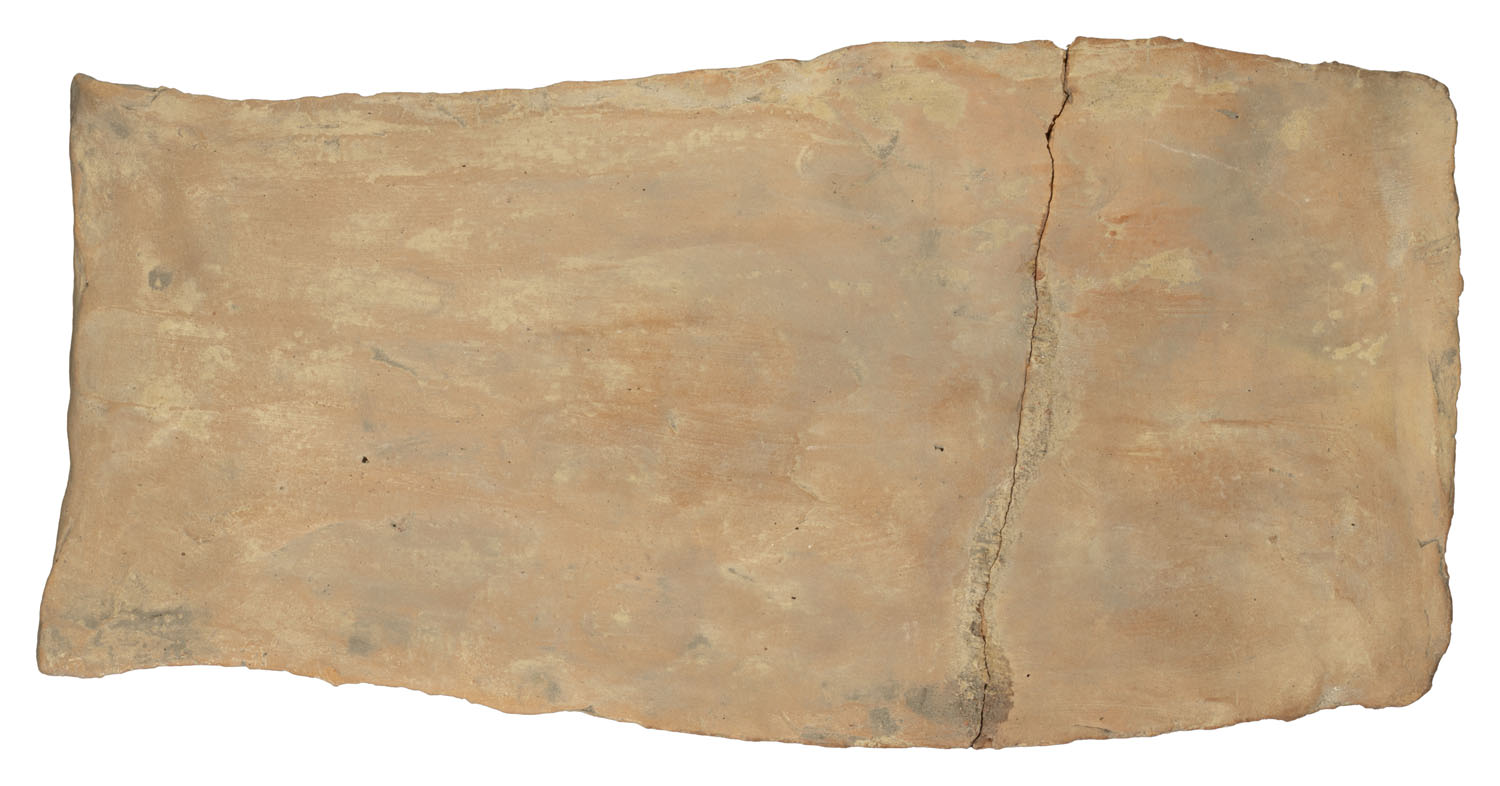 Terracotta Plaque depicting Shuka Bhasini (Lady with a Parrot)